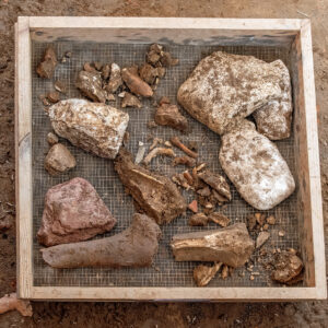 Cobbles, coral, limestone, and animal bones fill a screen of artifacts found in the North Church excavations.