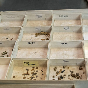 Sorting trays used by archaeologists and collections staff while picking through excavated material