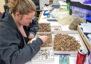 Assistant Curator Magen Hodapp picks through material from the John Smith Well.