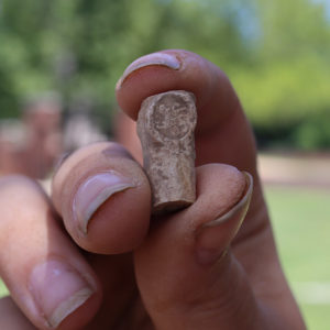 A clay pipe found at the north Church Tower dig. A lion is imprinted in the pipe's heel.