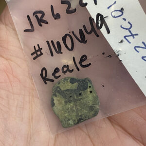 A silver Spanish real coin found at the cellar excavation site