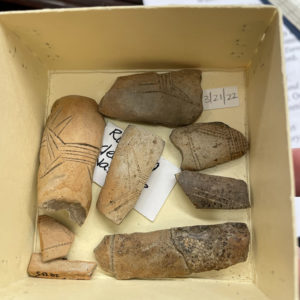 Virginia Indian pipe sherds shared at the small finds workshop.