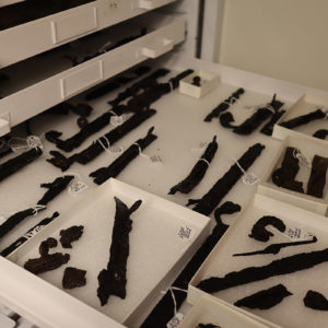 Some of the matchlock parts in Jamestown Rediscovery's dry room.