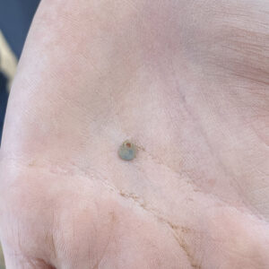 A teardrop-shaped spangle found in the 1607 Burial Ground excavations. Modern sequins are similar in shape and purpose to spangles.