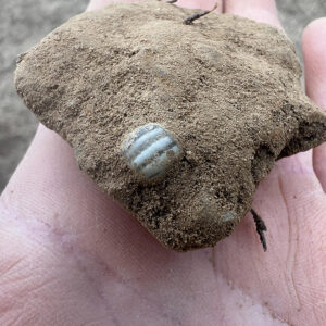 A closeup of the gooseberry bead