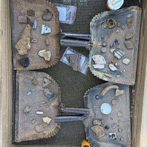 Trays of artifacts found this month in the North Church excavations