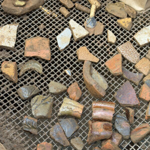 A screenful of ceramic sherds found by archaeologists in February