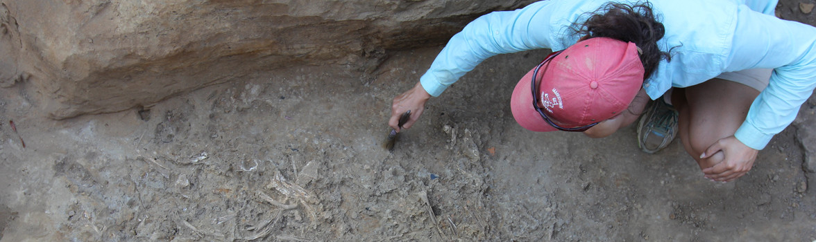 Archaeologist excavating artifacts