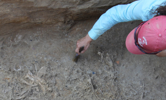 Archaeologist excavating artifacts