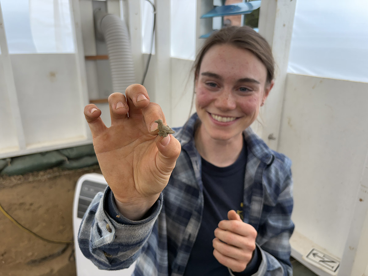 Staff Archaeologist holds a copper alloy martlet tack she found in a posthole in the 1607 Burial Ground. The posthole may be associated with a late-17th-century wine cellar found in 2004.
