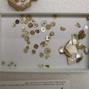 Shells and shell beads on a metal table