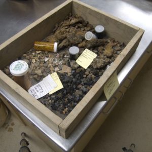 Assortment of artifacts in a tray