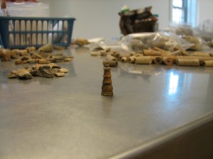 Chess piece standing on a lab table with assortment of clay pipe fragments in the background