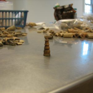 Chess piece standing on a lab table with assortment of clay pipe fragments in the background