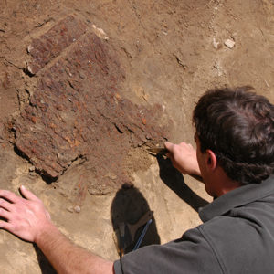 archaeologist using a trowel to scrape soil from around a buried jack of plate armor piece