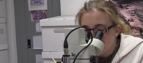Conservator looking through a microscope