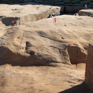 Flags marking features within a large excavation area