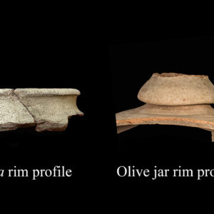 Orza and olive jar rim profiles