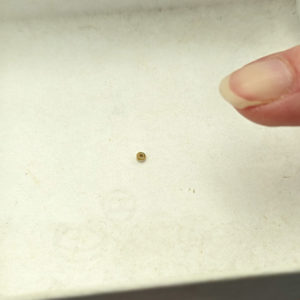 A tiny glass bead from the fort's second well