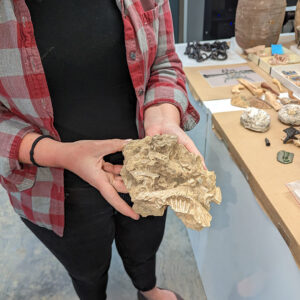 Curator Leah Stricker holds a limestone marl containing several shell fossils.
