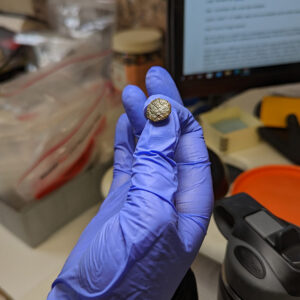 One of the doublet buttons after conservation. The cross hatch pattern is now visible.
