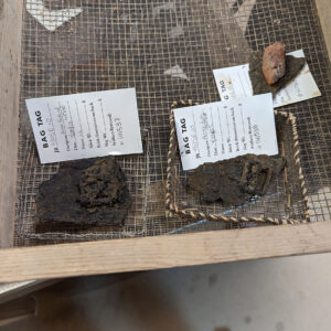 Two armor fragments, perhaps part of tassets, still bearing buckles. These were found in the Governor's Well.
