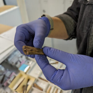 Senior Curator Leah Stricker holds a bone handle for a whittle tang knife.
