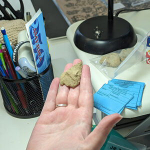 Curator Janene Johnston holds a possible Clovis point found in the excavations in the former burial tent.