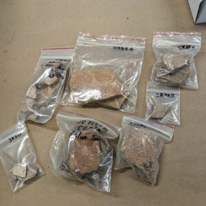 Olive jar sherds gathered by Collections Assistant Lauren Stephens for processing.