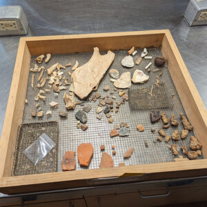 A collection of artifacts found during the Church Tower excavations.