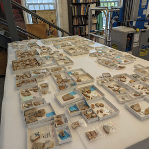 The Jamestown delft tile collection. The Field School students will learn to mend ceramics using this assemblage.