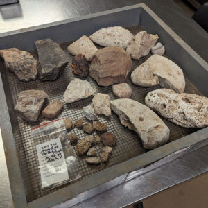 Some of the architectural artifacts found during the Church Tower excavations. Included are examples of granite, quartzite, mortar, and coral.