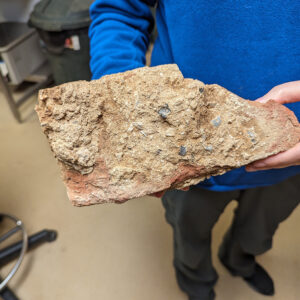 Associate Curator Janene Johnston holds a mortar-covered brick found during the Church Tower excavations.