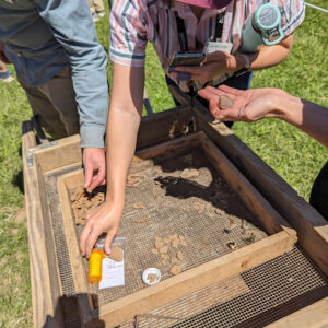 Staff and students examine some of the artifacts found by field school students while screening through excavated dirt.