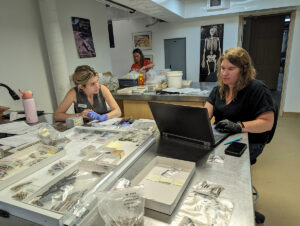 Curatorial Intern Amanda Arcidiacono and Senior Curator Leah Stricker discuss the conservation of the window leads.