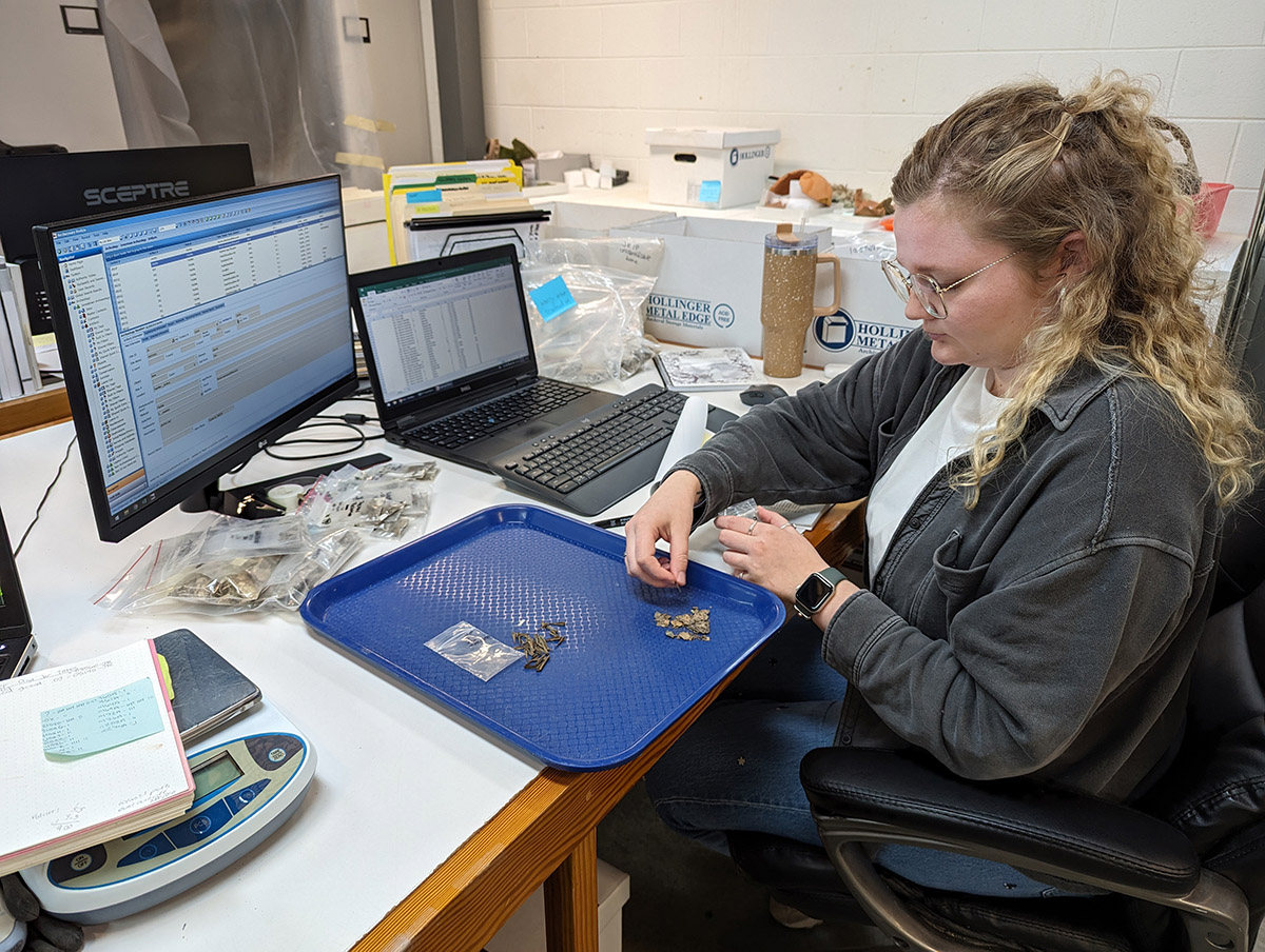 Assistant Curator/Zooarchaeological Specialist Magen Hodapp processes fish bones found in Pit 1.