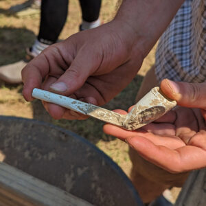 A European pipe found in the excavations just south of the Archaearium.