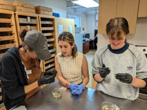 Conservation Intern Amanda Arcidiacono guides field school students Kristin Grossi and Sofia Zate in the conservation of window leads.