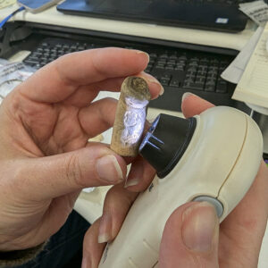 A Robert Cotton pipe bearing a shield found near the Memorial Church. This is one of the artifacts being gathered for inclusion in a future interim report.