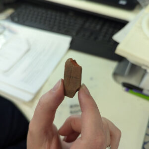 A piece of hematite found near the Memorial Church. Note the cross marking. This is one of the artifacts being gathered for inclusion in a future interim report.