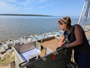 Curatorial Intern Lindsay Bliss uses the flotation machine to process soil samples. The light fraction floats to the top and is caught on the fine mesh screen in the left chamber.