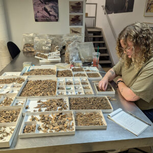 Assistant Curator Magen Hodapp sorts through the thousands of fish bones found in James Fort's first well.