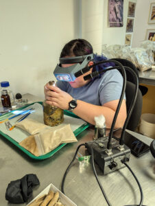 Assistant Conservator Jo Hoppe conserves one of the Mount Vernon bottles.