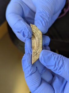 Assistant Conservator Jo Hoppe holds a fragment of a diptych dial. Faint Roman numerals can be seen etched into the outer circle.