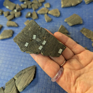 Example labels on the interior of a Native ceramic vessel. They are applied using a reversible adhesive so as not to permanently alter the object.