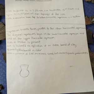 Curatorial intern Molly Morgan is taking notes for the Native ceramic vessels she's working on. This information is entered in the collections database and will be available for future research.