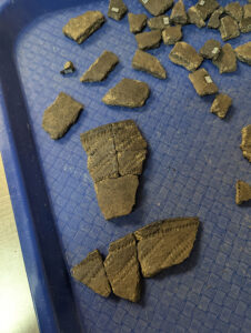 Sherds of Native ceramics being processed by curatorial intern Molly Morgan