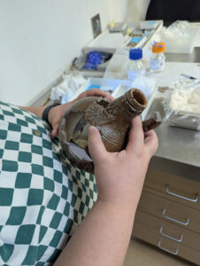 Assistant Conservator Jo Hoppe examines a Bartmann Jug she is mending.