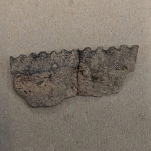 Two mended rim sherds of Native ceramic