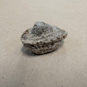 A partial lug handle from a Native ceramic vessel